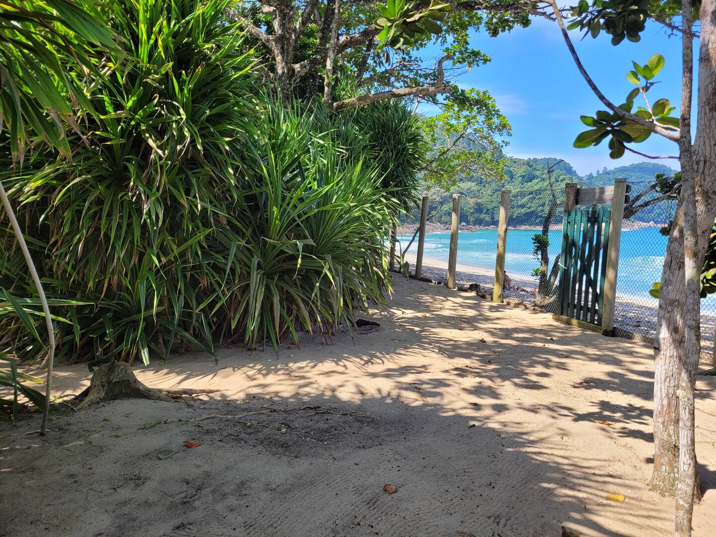 Casa, 5 quartos, 362 m² - Foto 2