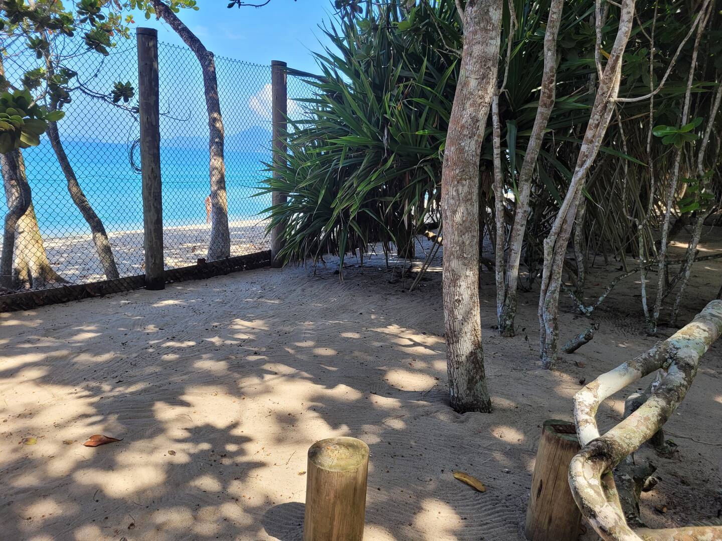 Casa, 5 quartos, 362 m² - Foto 32